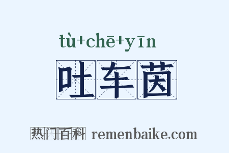 吐车茵是什么意思的图片